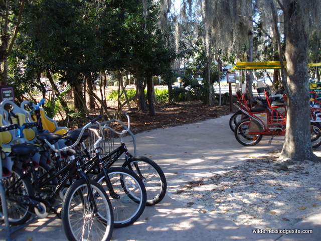 Bike Rental